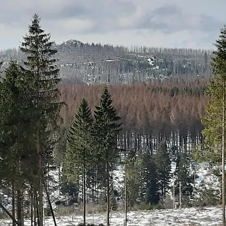 Tante Anna * Braunlage